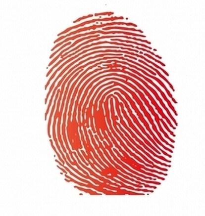 在装模做样的加几个字吧,长按指纹识别二维码!